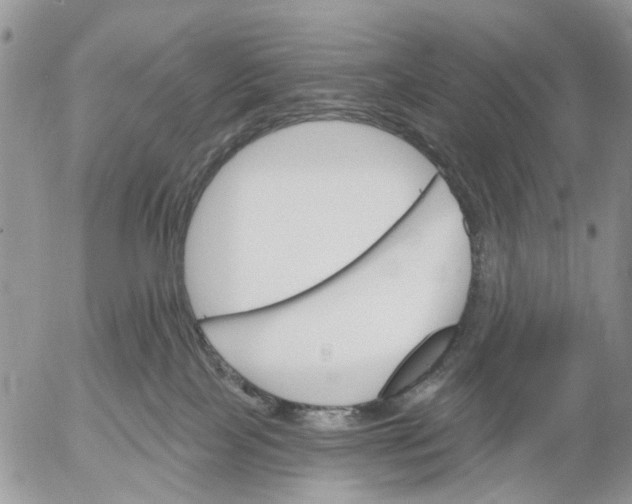 X0000053020089200507291744