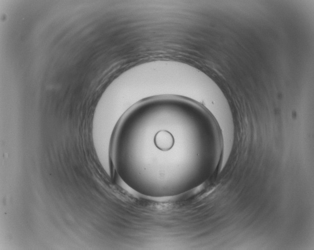 X0000053020092200507291744