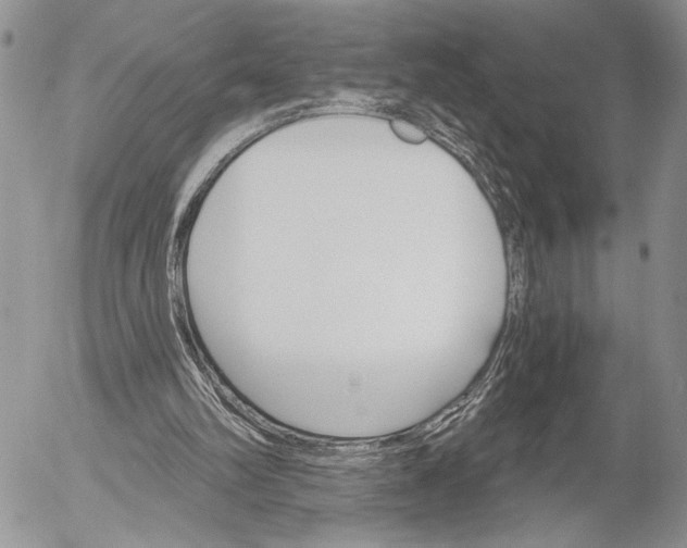 X0000053020102200507291743