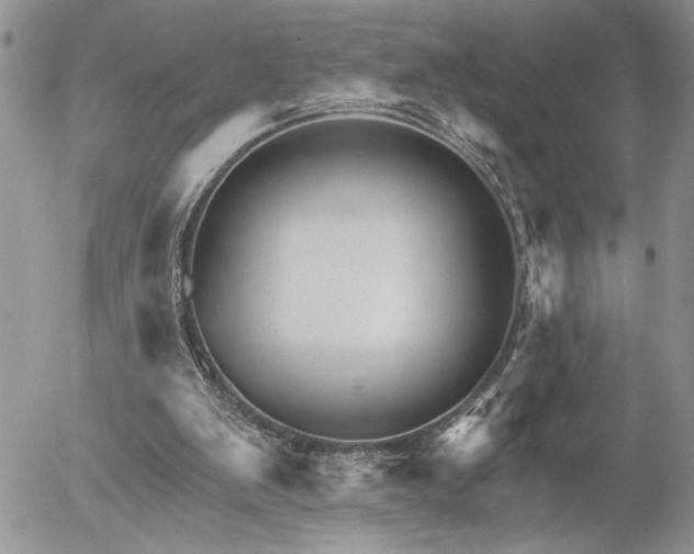 X0000053020103200507291743