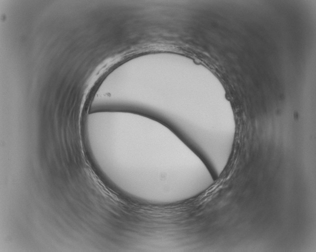 X0000053020104200507291743