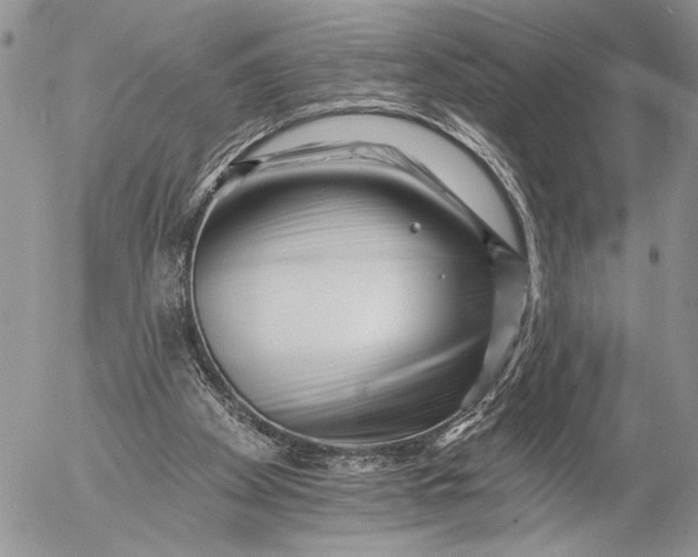 X0000053020105200507291743