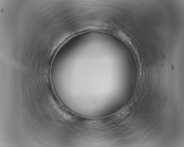 X0000053020106200507291743