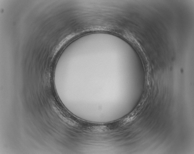 X0000053020108200507291743