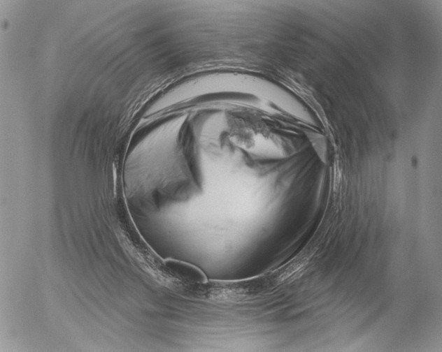 X0000053020109200507291743