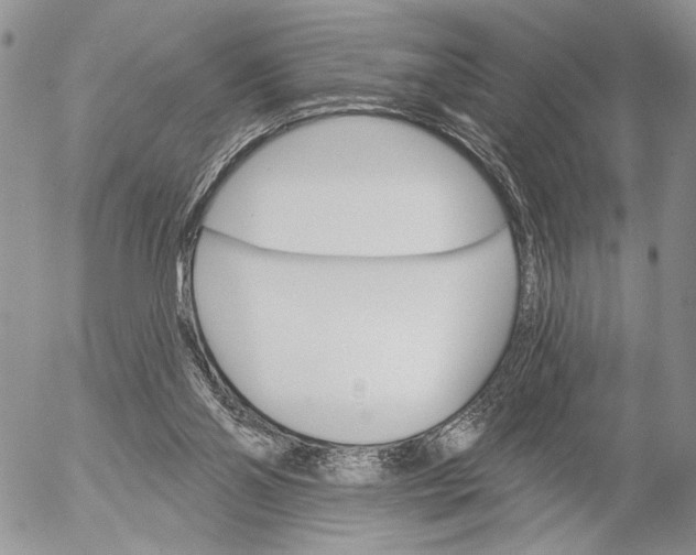 X0000053020110200507291743