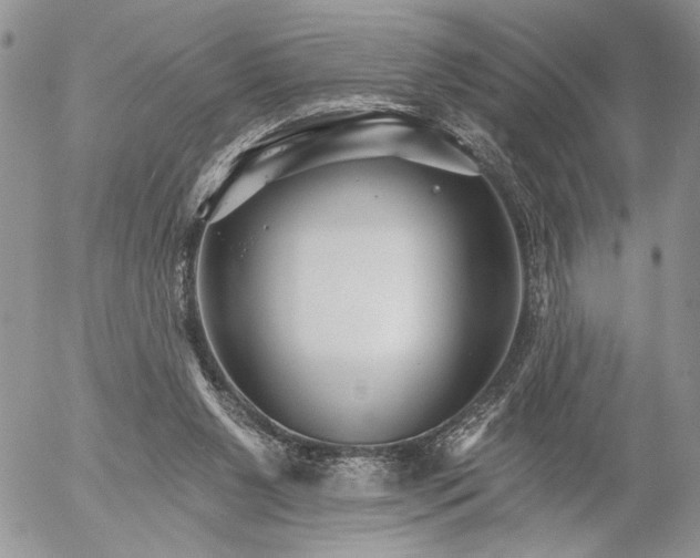 X0000053020111200507291743