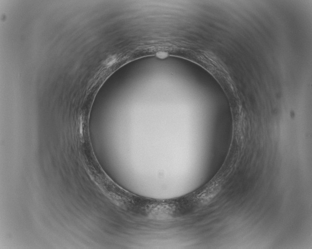 X0000053020115200507291743