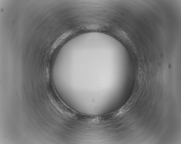X0000053020116200507291743