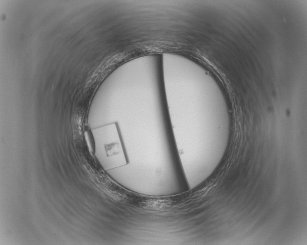 X0000053020117200507291743