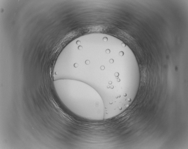 X0000053020118200507291743