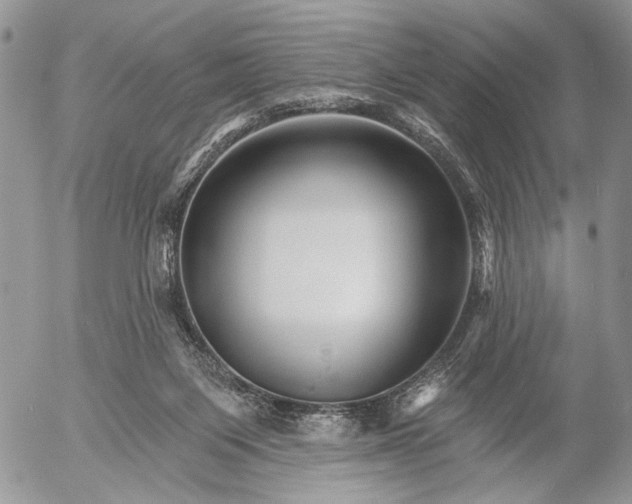 X0000053020119200507291743