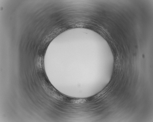 X0000053020122200507291743