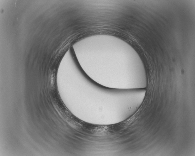 X0000053020124200507291743