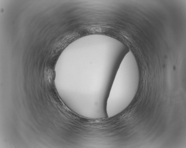 X0000053020125200507291743