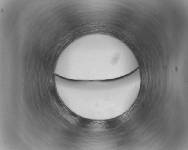X0000053020128200507291743