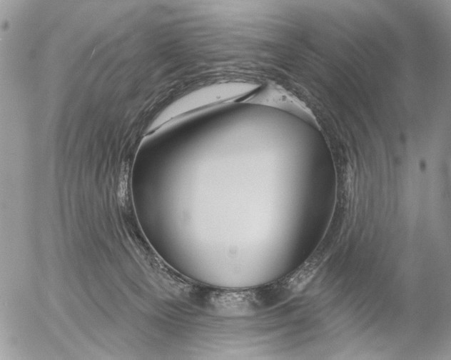 X0000053020129200507291743