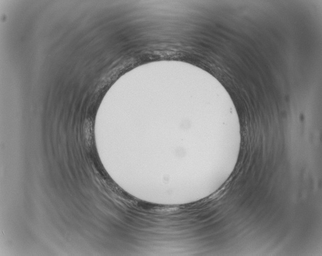 X0000053020132200507291743