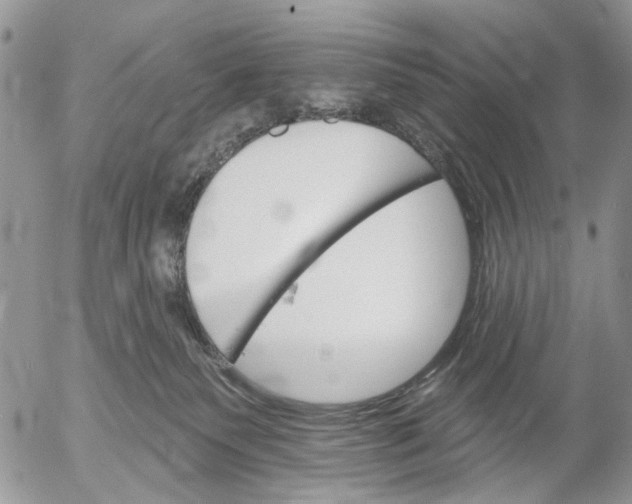 X0000053020135200507291743