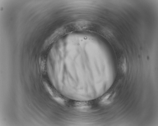 X0000053020139200507291743