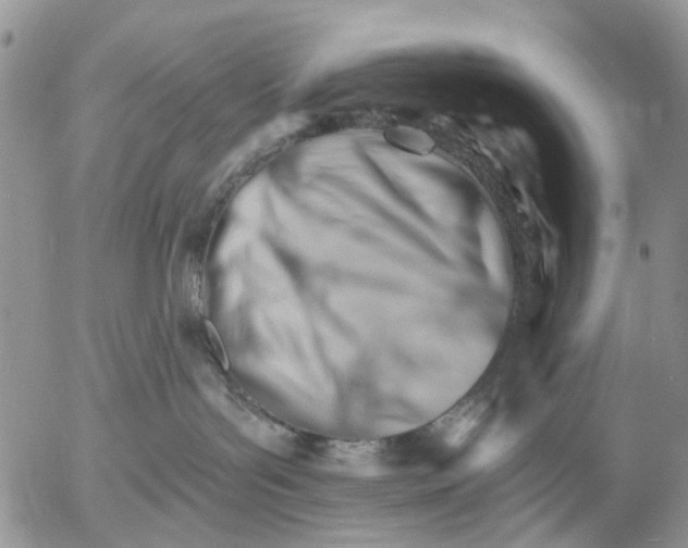 X0000053020143200507291743
