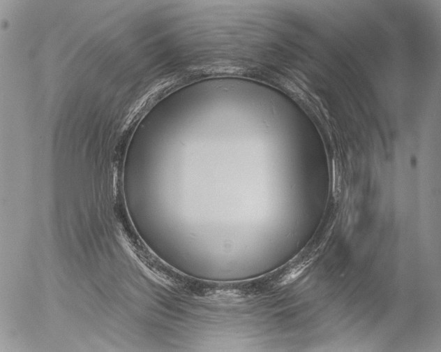 X0000053020157200507291742