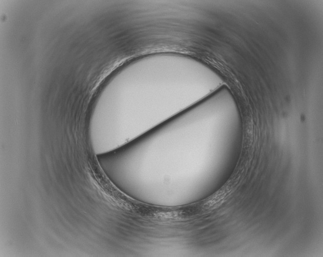 X0000053020160200507291742