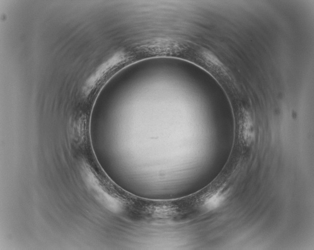 X0000053020165200507291742