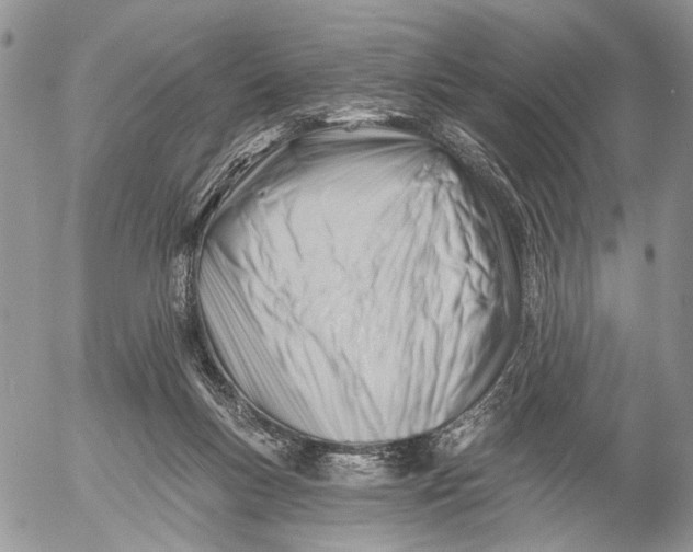X0000053020167200507291742