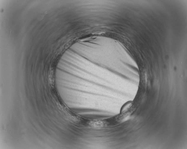 X0000053020181200507291743