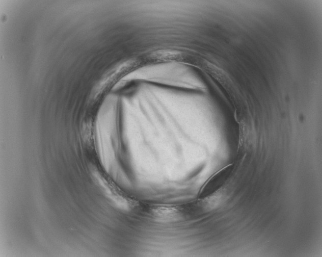 X0000053020189200507291743