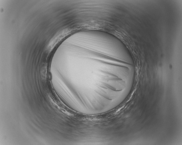 X0000053020194200507291742