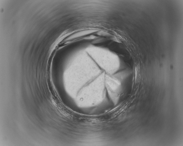 X0000053020195200507291742