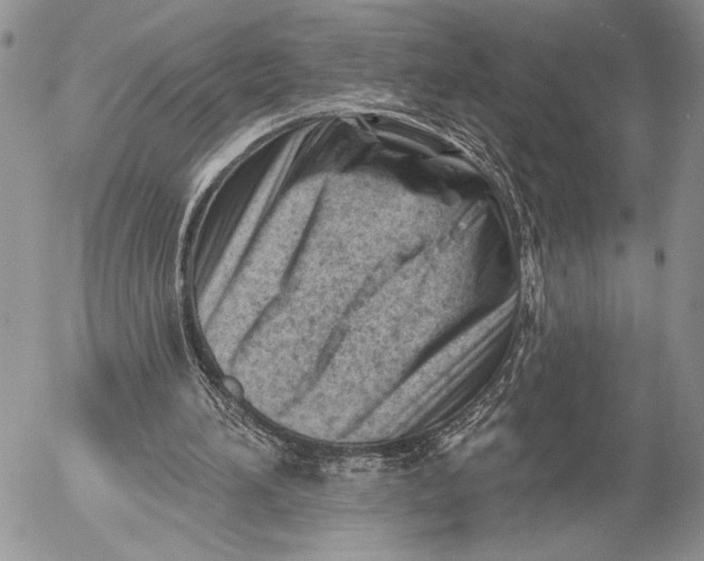 X0000053020196200507291742