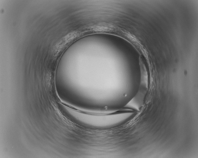 X0000053020201200507291742