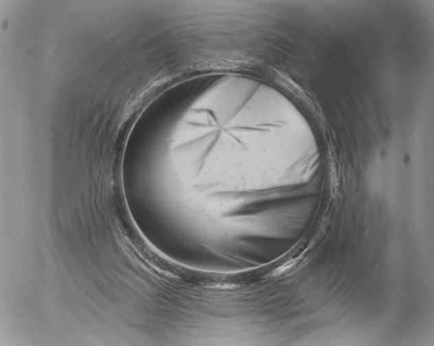 X0000053020203200507291742