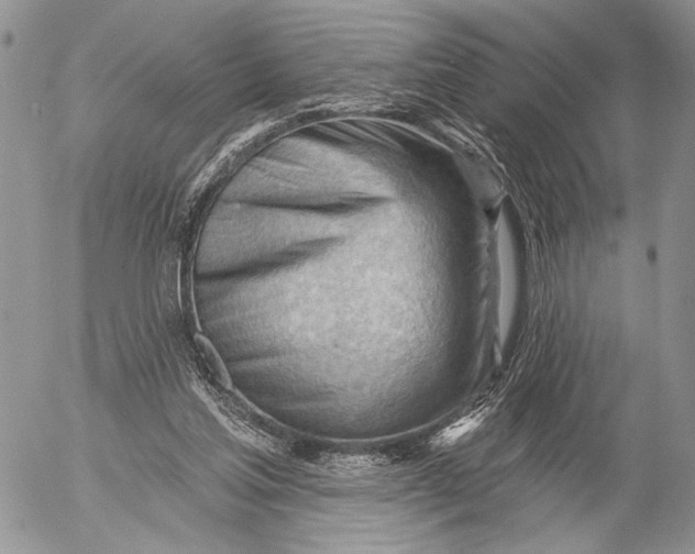 X0000053020205200507291742