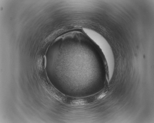 X0000053020219200507291741
