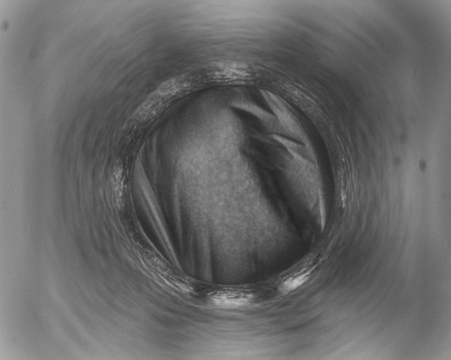 X0000053020223200507291741