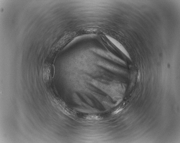 X0000053020227200507291741
