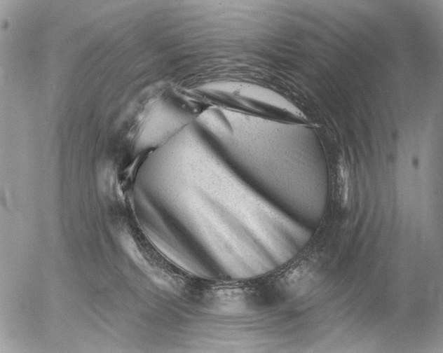 X0000053020228200507291741
