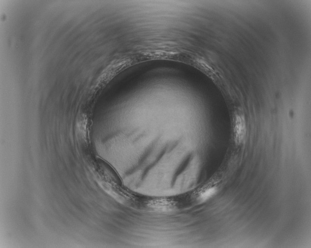 X0000053020231200507291741