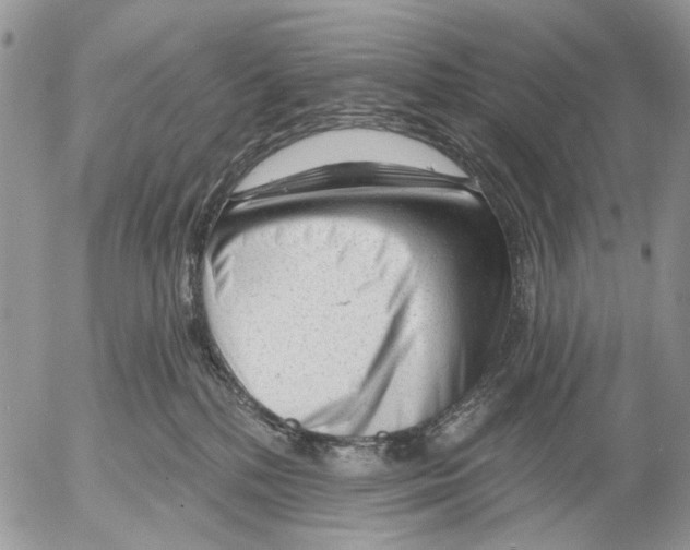 X0000053020232200507291741