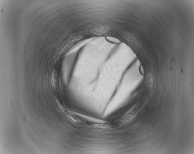 X0000053020234200507291741