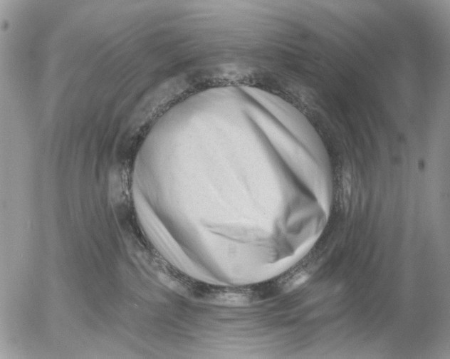 X0000053020236200507291741