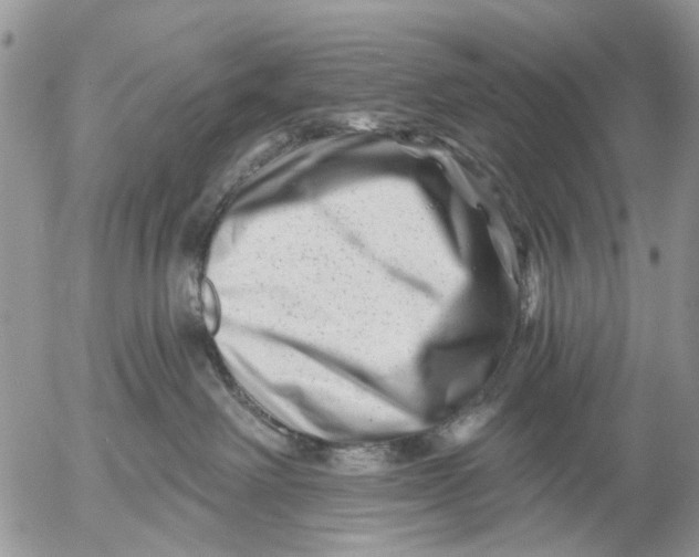 X0000053020238200507291741