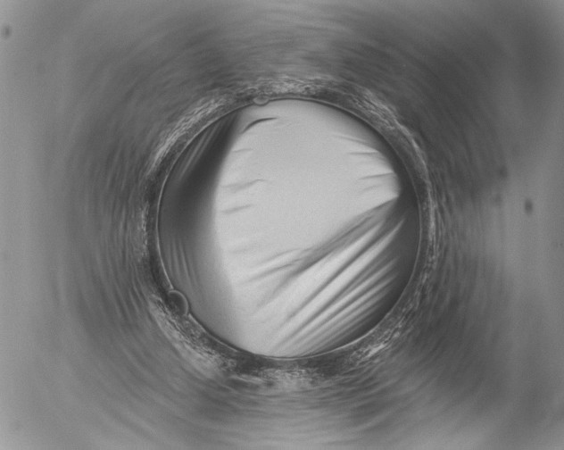 X0000053020250200507291740