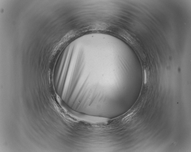 X0000053020253200507291741