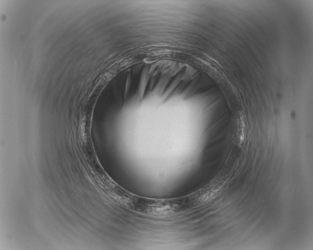 X0000053020267200507291741
