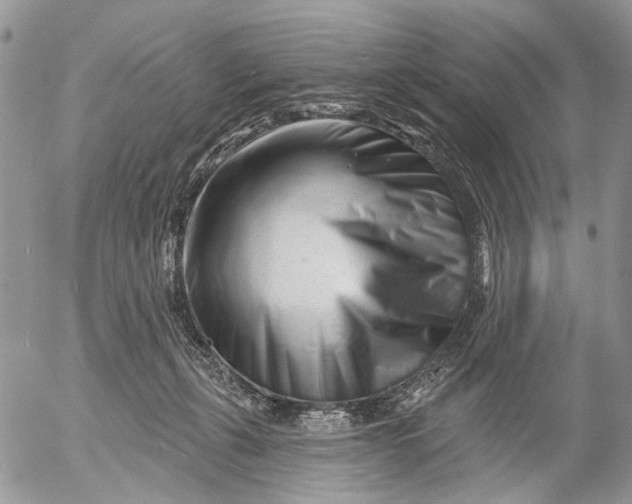 X0000053020271200507291741